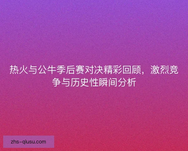 热火与公牛季后赛对决精彩回顾，激烈竞争与历史性瞬间分析