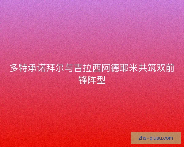 多特承诺拜尔与吉拉西阿德耶米共筑双前锋阵型